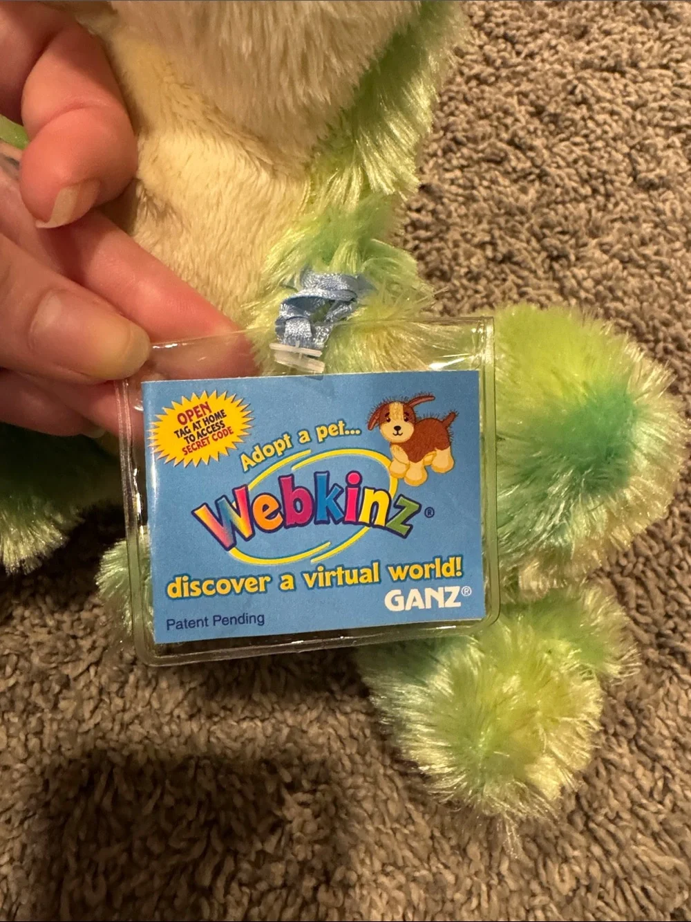 Plush Green Frog Small Pet Toy - No Brand Listed